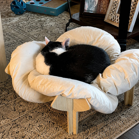 Cat & Small Dog Bed