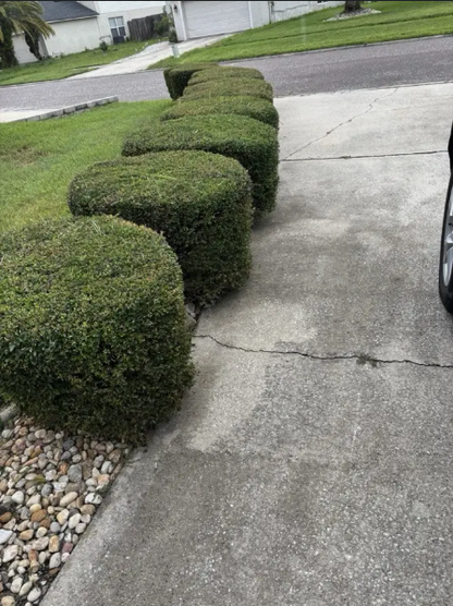 PULlTUO 20v 무선 가지치기 ( Hedge Trimmer )