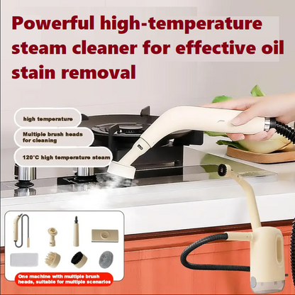 미니 스팀 클리너