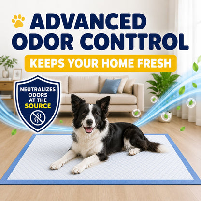 34 x 28" XL Dog Pee Pads - 100 Count