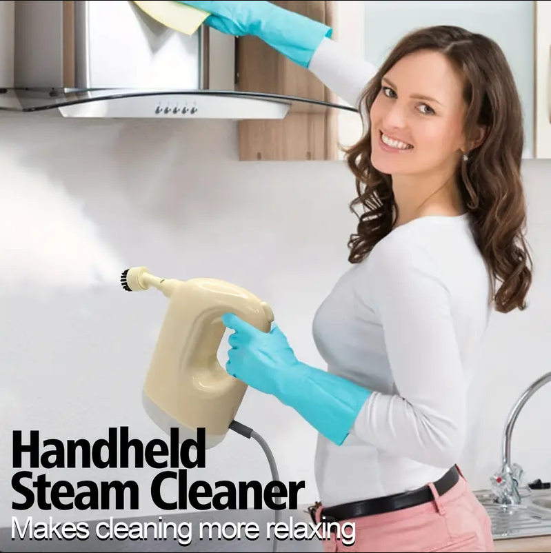 미니 스팀 클리너