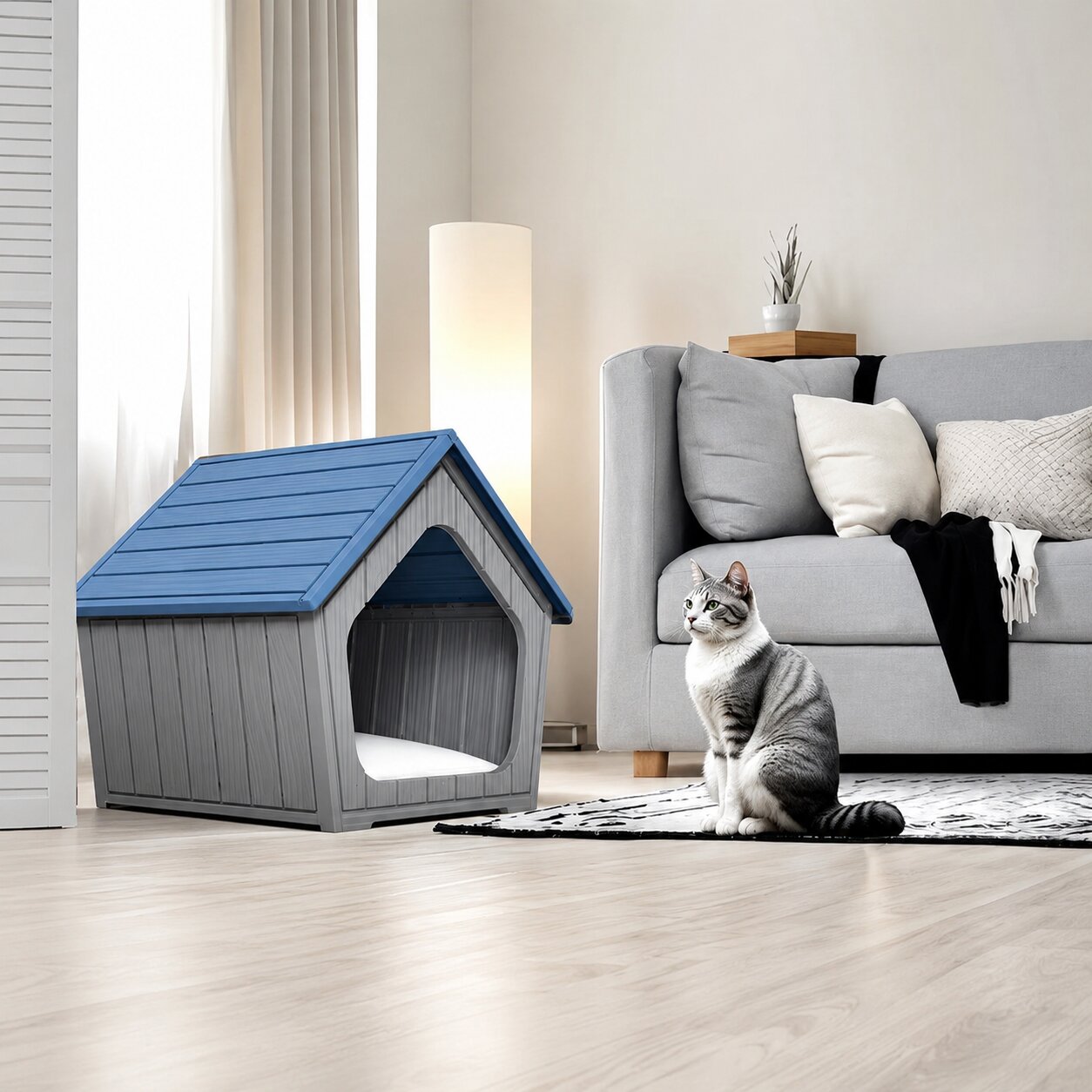 Cat · Dog House