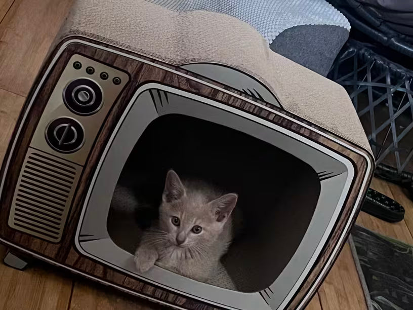 TV 고양이 집 / 스크레쳐