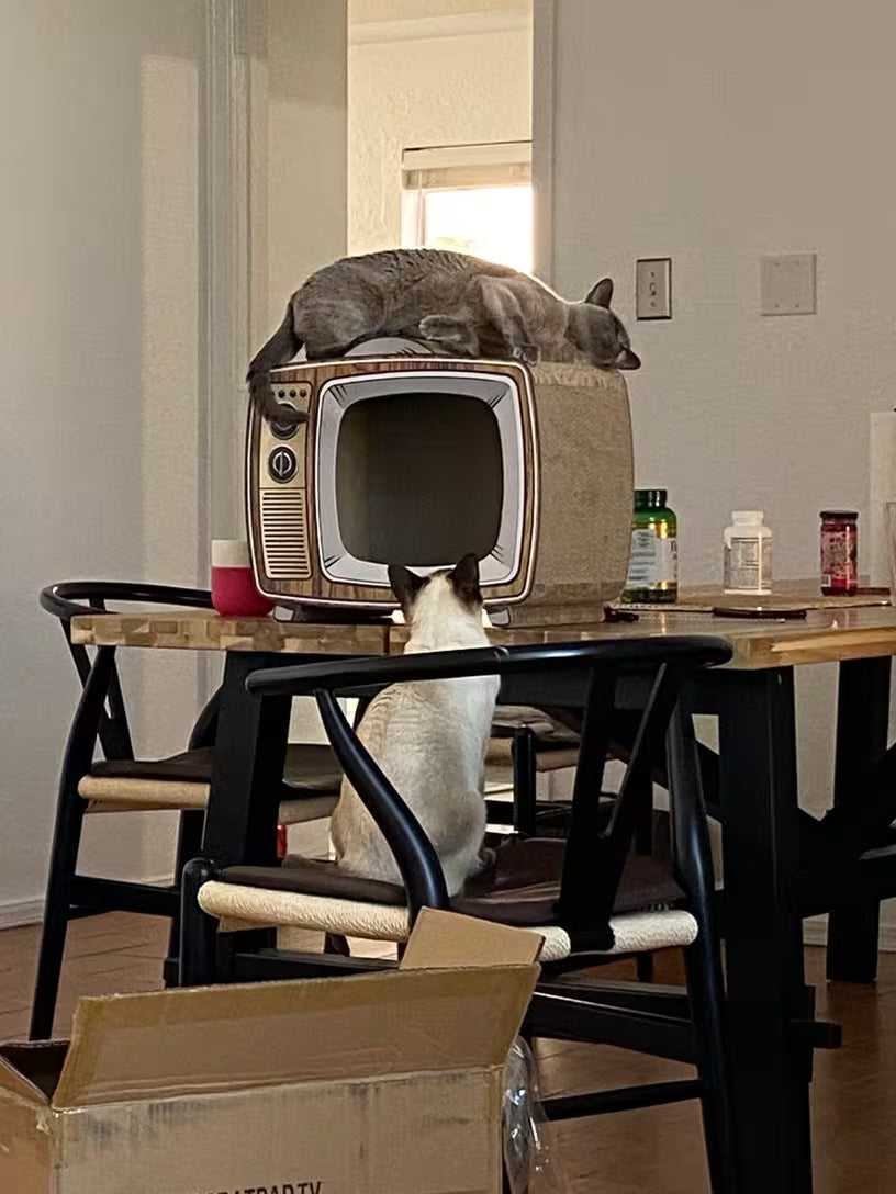 TV 고양이 집 / 스크레쳐