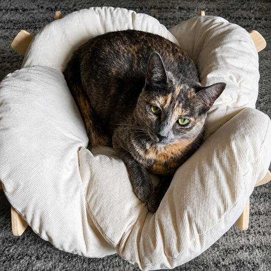 Cat & Small Dog Bed