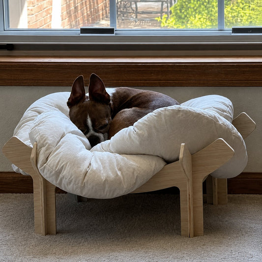 Cat & Small Dog Bed