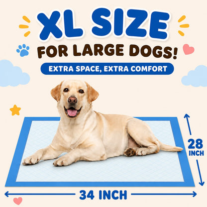 34 x 28" XL Dog Pee Pads - 100 Count