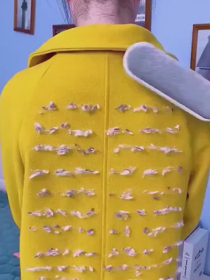 린트 브러시