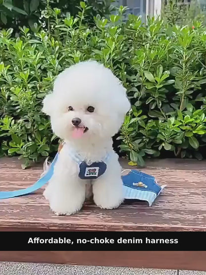 강아지 고양이 데님 멜빵 하네스 리드줄 세트 - Small